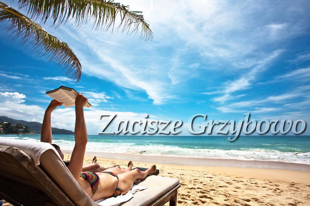 דירות גרצי'יבובו Zacisze Grzybowo מראה חיצוני תמונה